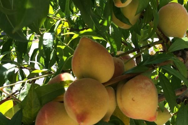  十二星座2023年10月份财富运势排行榜  一生不用为钱发愁  