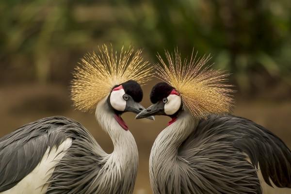 水瓶座2023年爱情运4月情况 自己都被感动  　　