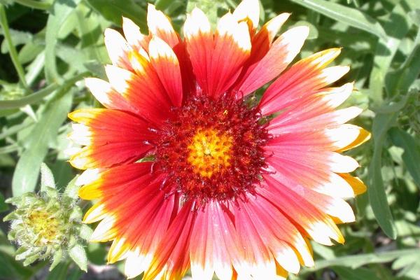 唐立淇 12星座一周运势1.30-2.05