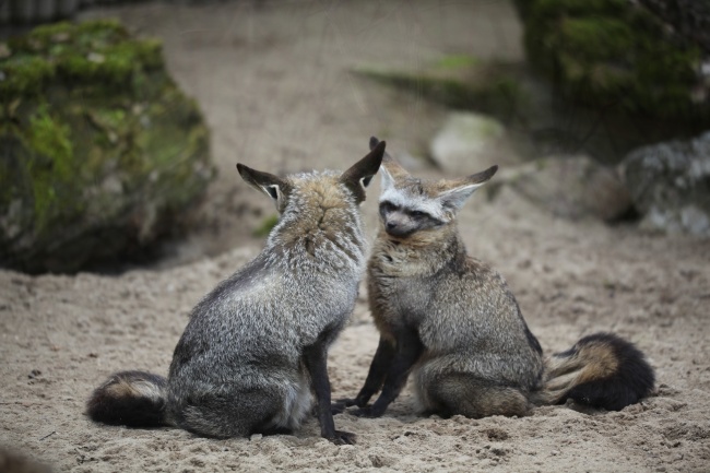 射手座2023年4月爱情运走向 不太理想  　　