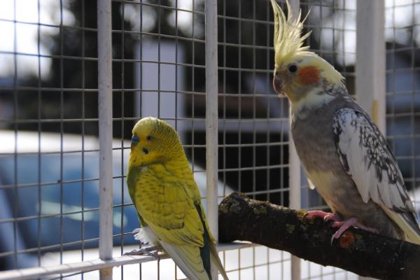 诗经中最唯美的公司名字 公司名字大全参考