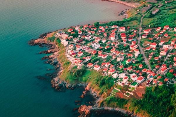 闹闹女巫 十二星座今日运势0130