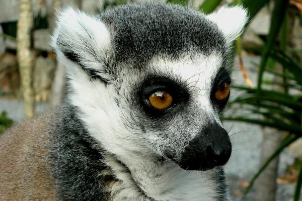 2023年天蝎座4月桃花运分析 需要有所表现  　　