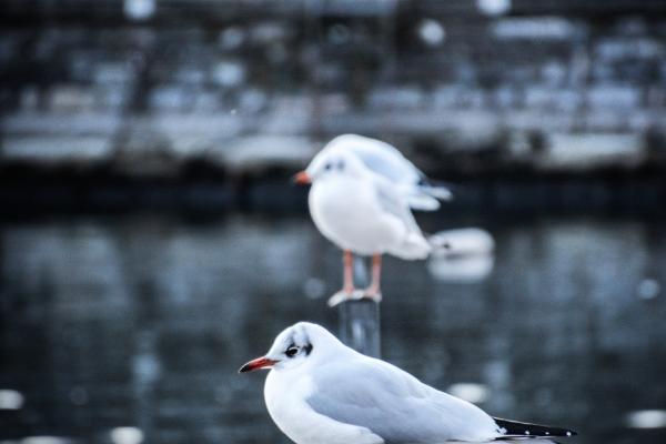 公司怎么样起名字 最吉利旺财的公司名字