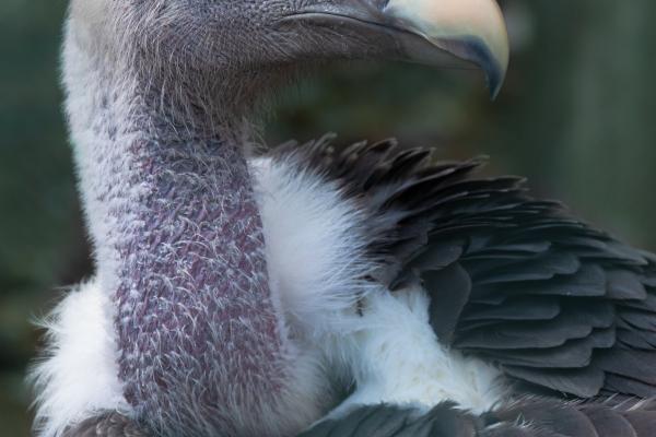 判答 双鱼座2023年2月运势来了!