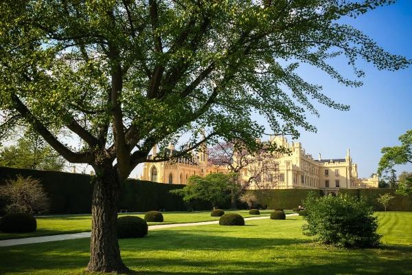 2023年正月十四适合结婚吗 今天是良辰吉日吗