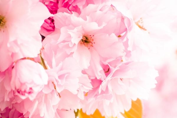 判答 白羊座2023年2月运势来了！