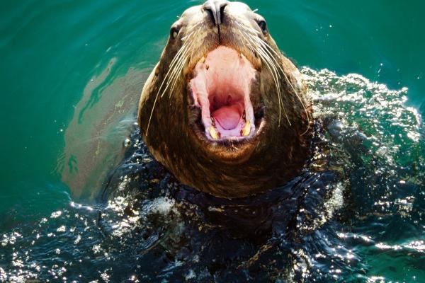 戊午日柱2023癸卯年运势 有贵人相助且财运见涨