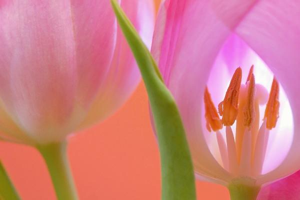 判答 射手座2023年2月运势来了！