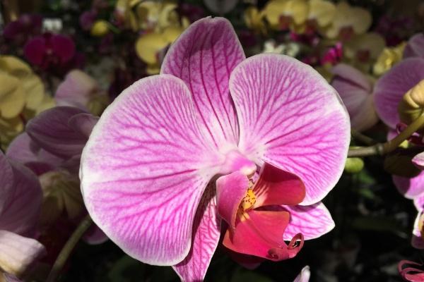 2023年立春躲春是躲一天吗 什么时候躲春