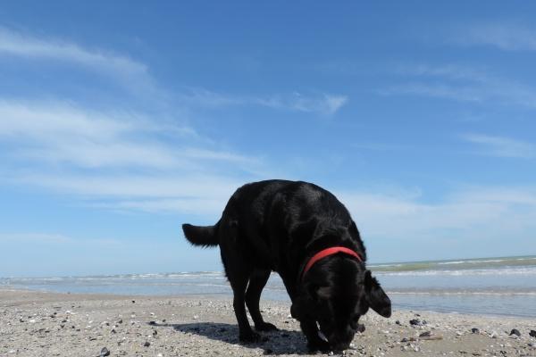 判答 摩羯座2023年2月运势来了!