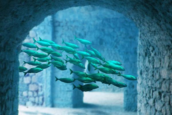 2023年是五行什么命 属兔的宝宝命运如何