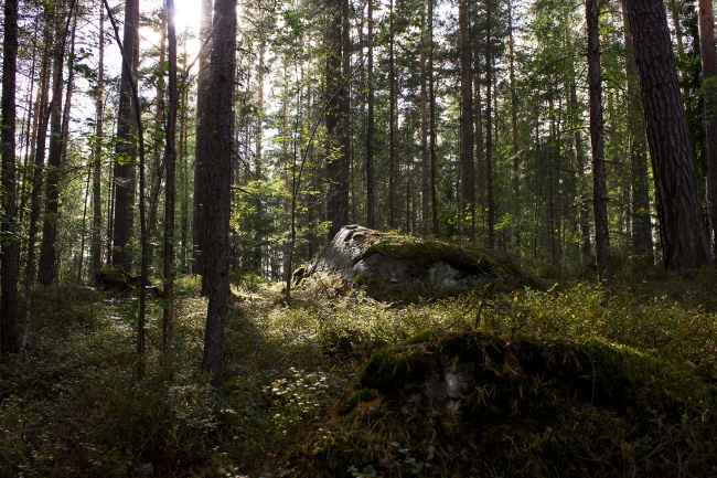 小乖麻 本周运势提醒（2023/1/30—2/6）