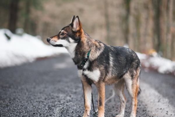 2023年正月十三适合结婚吗 今天日子好不好