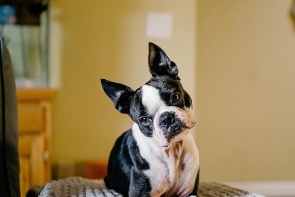 2023年3月份十二星座学业运势排名分析 有望学业有成