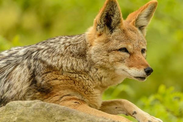 2023年处女座财运6月运程详解 运势提升