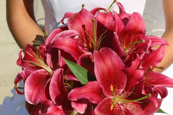 成立公司怎么取名字 公司取名怎么取好听