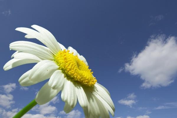 Alex 摩羯座2023年2月月度运程