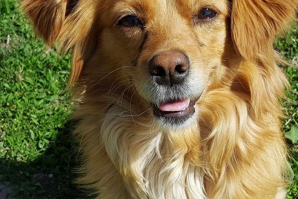 2023年立春几点到几点 立春有什么习俗