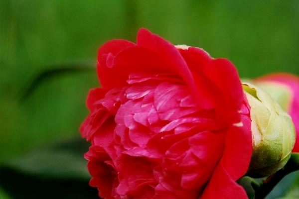 2023领证有什么好的日期 有寓意的日子领证