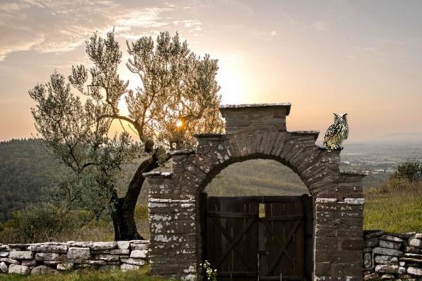 2023年元宵节是哪一天 元宵节的来历和风俗