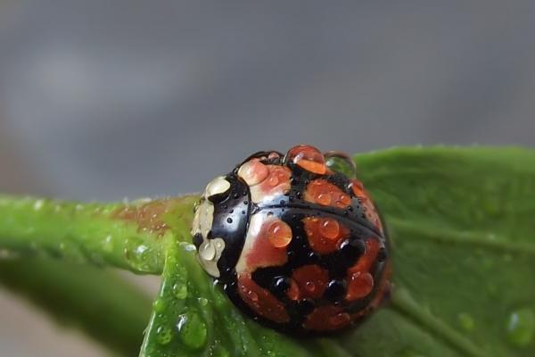 2023年立春是什么时候 立春吃什么东西呢