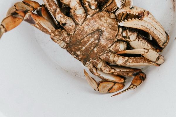 成立公司怎么取名 公司起名字2023免费