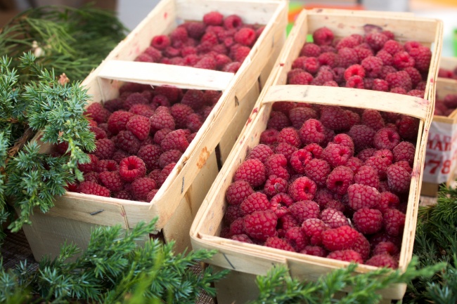 2023年2月23日出生的宝宝是何命运 八字下等坐刃坐劫财则水太旺