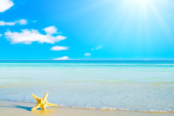 Alex 双鱼座2023年2月月度运程