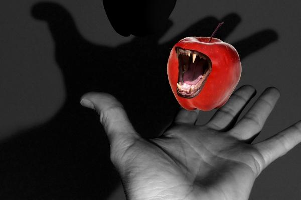 2023年金牛座提运指南5月详解  好好遵守