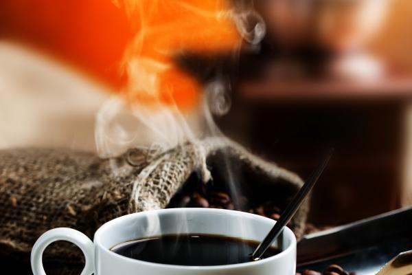 双子座2023年学业运2月情况  运程详解