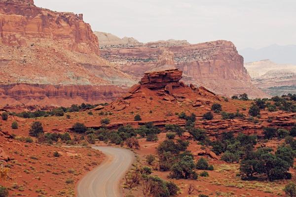 2023年小暑事业运发展趋势非常好的星座 攀上事业巅峰