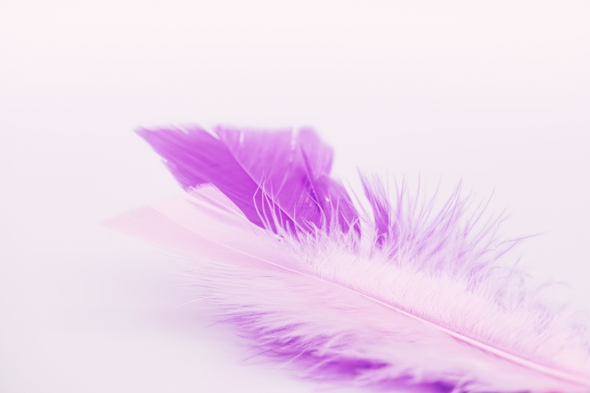 唐立淇 每日星座运势2.1