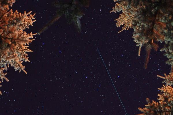 艾菲尔 抢先看！ 12星座【二月运势】提醒