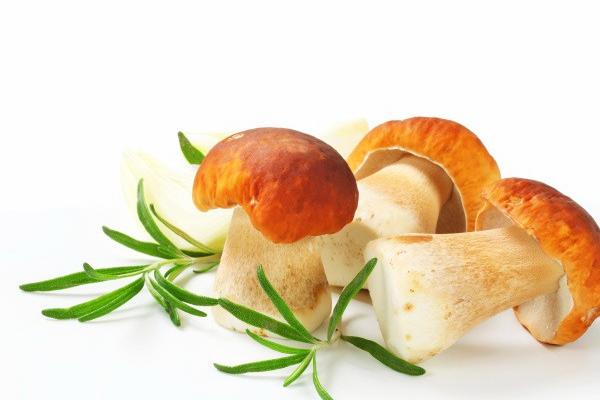 Alex 处女座2023年2月月度运程