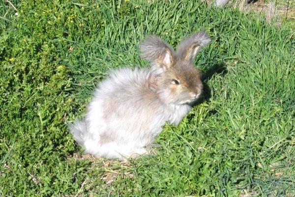 射手男把摩羯女删了 射手座吃醋的表现