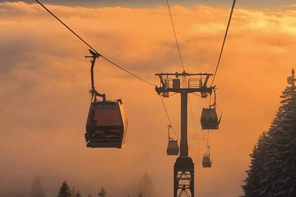 Alex 狮子座2023年2月月度运程