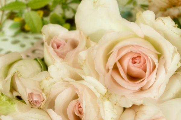 闹闹女巫  12星座今日运势0202