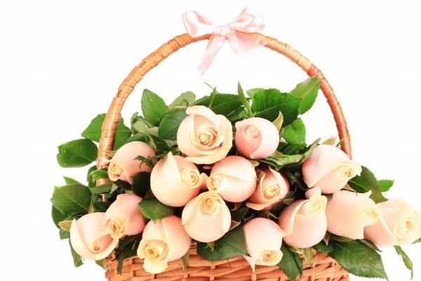 判答 摩羯座2023年2月运势来了!