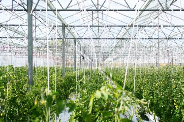 2023年巨蟹座3月提运指南分析 自己都觉得意外