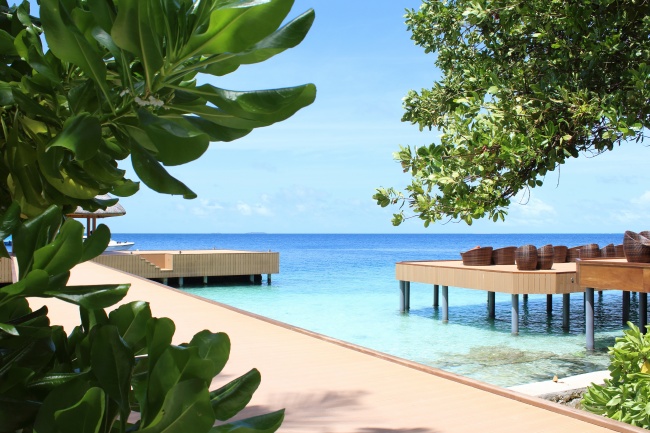 2023年3月8日吉时 哪个时辰最吉利