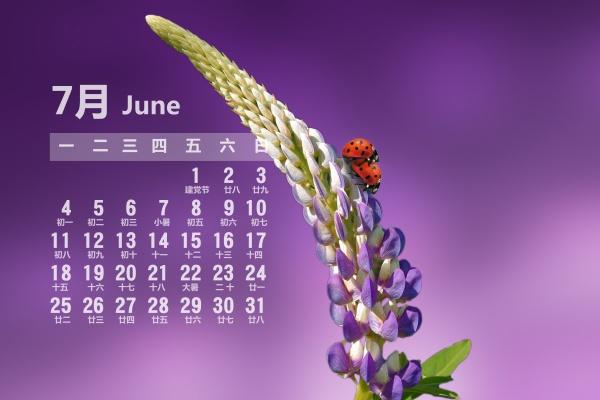 判答 金牛座2023年2月运势来了！