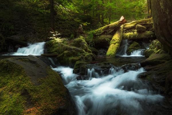 Alex 本周重要星象(1.30—2.5)