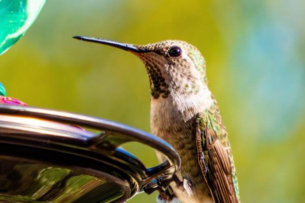 2023正月十四出行日子好不好 今天是黄道吉日吗