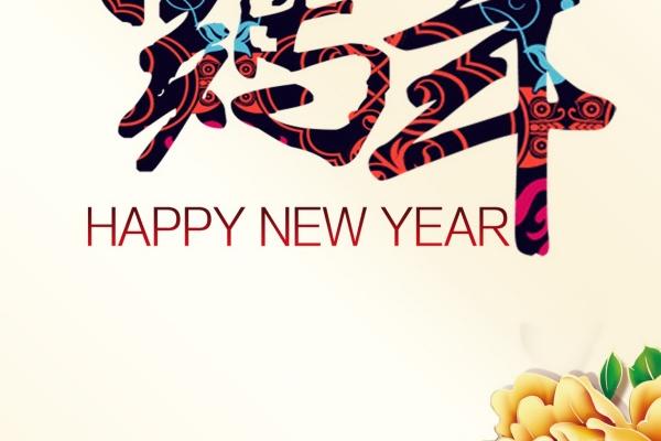 农历2023年二月十一出生的男宝宝五行缺什么,命运如何