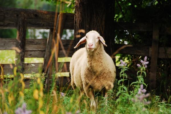 2023年金牛座财运3月运程详解 如何提运？  　　