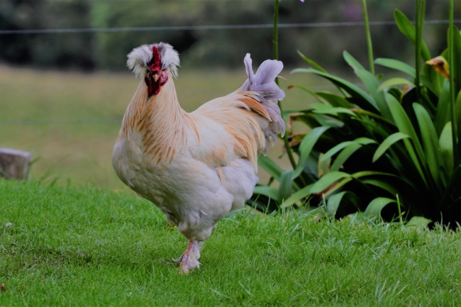 2023年处女座财运5月运程详解  财运一般小心破财