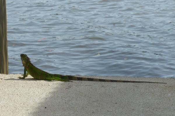 Alex 天蝎座2023年2月月度运程