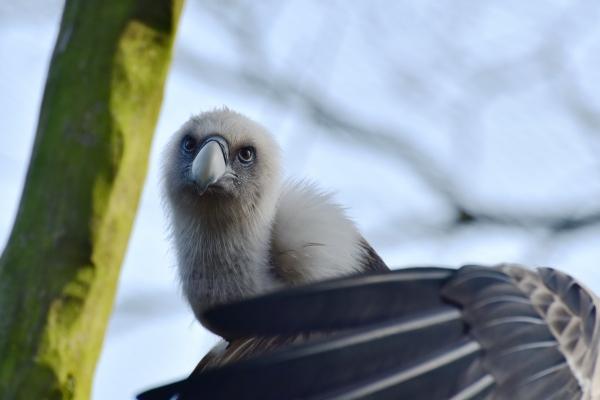判答 2月拉开序幕,12星座近期大事提前看