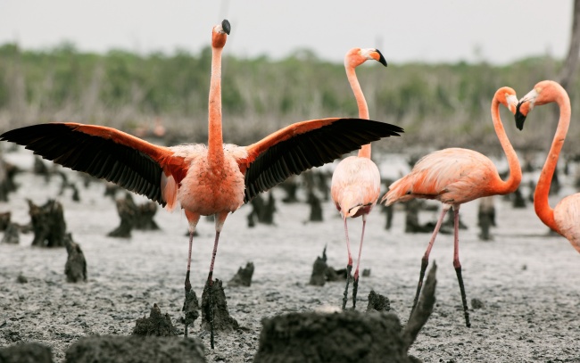 天秤座2023年婚姻运5月情况  发展状况